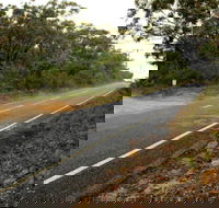 Warrah Trig cycling loop - VIC Tourism