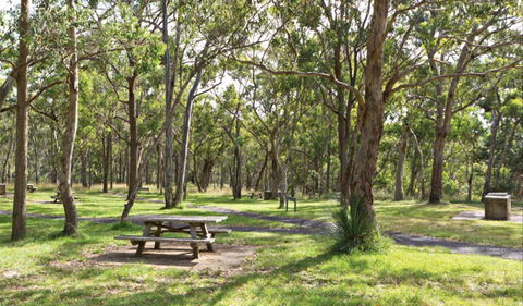 Wollomombi Gorge And Falls Picnic Area - VIC Tourism 0