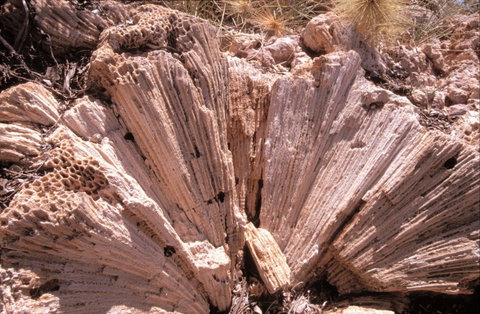 Yardie Creek Walk Trail - VIC Tourism 2