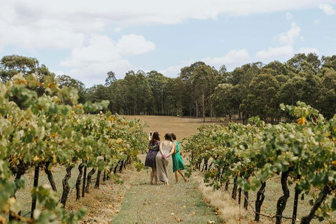 Hunter Valley Premium Food & Drink Pairing Tour - VIC Tourism 5