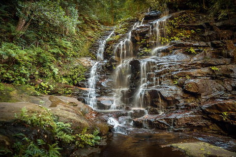 Ultimate Blue Mountains Waterfalls, Walks & Sunset PRIVATE Tour - VIC Tourism 10