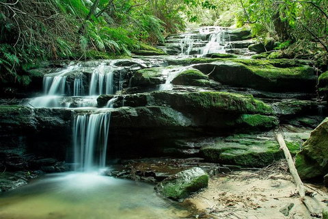 Ultimate Blue Mountains Waterfalls, Walks & Sunset PRIVATE Tour - VIC Tourism 2