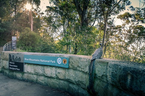 Ultimate Blue Mountains Waterfalls, Walks & Sunset PRIVATE Tour - VIC Tourism 8