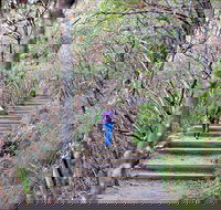 Princes Rock Walking Track - VIC Tourism