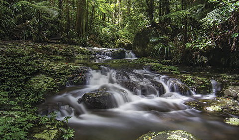 Protesters Falls Walking Track - VIC Tourism 0