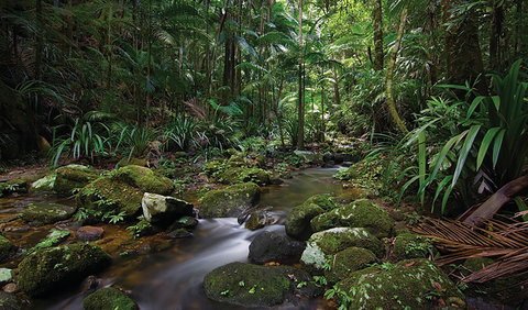 Protesters Falls Walking Track - VIC Tourism 2