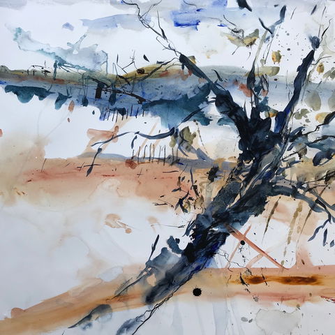 Sandra Blackburne Art Studio And Gallery - VIC Tourism 2