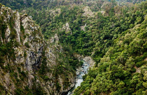 Tiara Walking Track - VIC Tourism 0