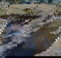 Wangaraleednie Monument  Ruins - VIC Tourism