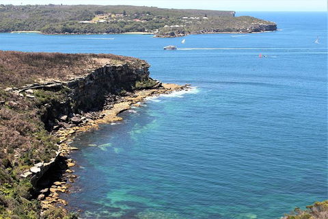 Half Day Manly Beach And More - VIC Tourism 9