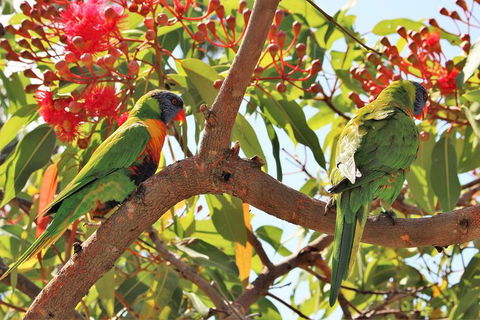 Half Day Manly Beach And More - VIC Tourism 10