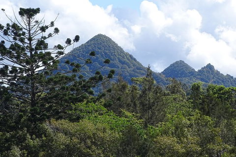 Byron Bay Rainforest Eco-Cruise - VIC Tourism 3