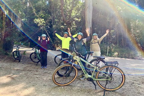 Guided E Bike Tour - Unicorn Falls & National Park - VIC Tourism 3