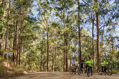 Guided E Bike Tour - Unicorn Falls & National Park - VIC Tourism 10