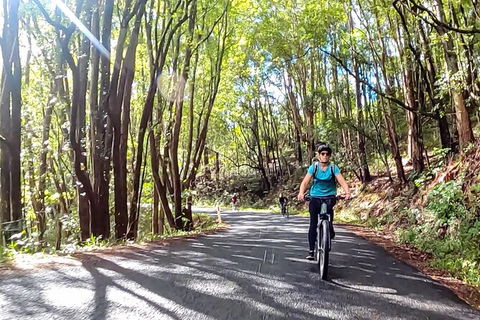 Guided E Bike Tour - Unicorn Falls & National Park - VIC Tourism 16