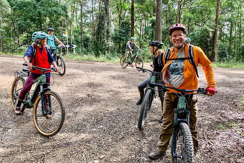 Guided E Bike Tour - Unicorn Falls & National Park - VIC Tourism 18