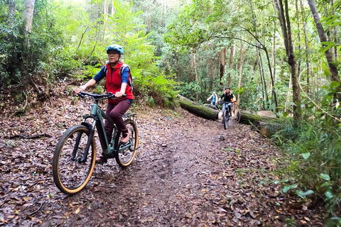 Guided E Bike Tour - Unicorn Falls & National Park - VIC Tourism 9