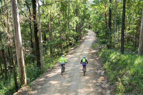 Guided E Bike Tour - Unicorn Falls & National Park - VIC Tourism 7