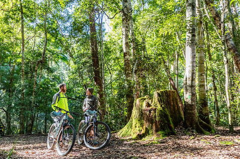 Guided E Bike Tour - Unicorn Falls & National Park - VIC Tourism 14