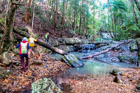 Guided E Bike Tour - Unicorn Falls & National Park - VIC Tourism 17