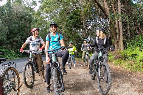 Guided E Bike Tour - Unicorn Falls & National Park - VIC Tourism 11