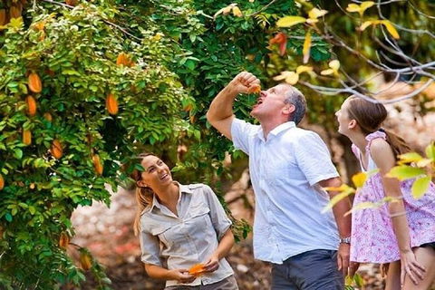 Full-Day Guided Tour Byron Bay With Pickup - VIC Tourism 1