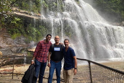 Blue Mountains Highlights & Wildlife Park - VIC Tourism 4
