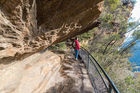 Blue Mountains Highlights & Wildlife Park - VIC Tourism 0