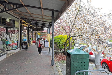 Blue Mountains Highlights & Wildlife Park - VIC Tourism 2