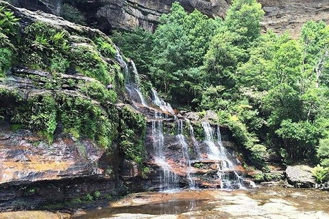 Blue Mountains Highlights & Wildlife Park - VIC Tourism 8