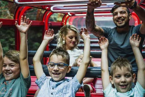 Blue Mountains Highlights, Wildlife Park And Scenic World Full Day Private Tour - VIC Tourism 5