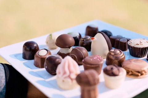 Hunter Valley Highlights Private Wine Tour From Sydney - VIC Tourism 7