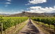 Hunter Valley Highlights Private Wine Tour From Sydney - thumb 2