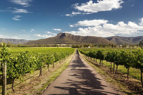 Hunter Valley Highlights Private Wine Tour From Sydney - VIC Tourism 2