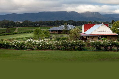 Hunter Valley Highlights Private Wine Tour From Sydney - VIC Tourism 5