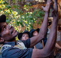 Arnhem Land Injalak Hill Full-Day Tour from Jabiru - VIC Tourism