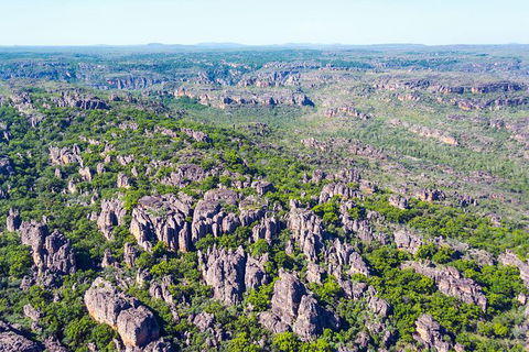 Jabiru 30 Minute Scenic Flight - VIC Tourism 1