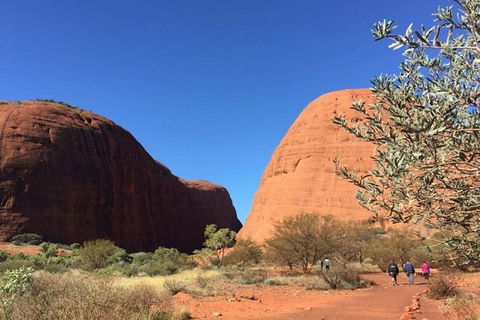 5-Hour Kata Tjuta Sunrise Tour From Ayers Rock With Breakfast - VIC Tourism 2