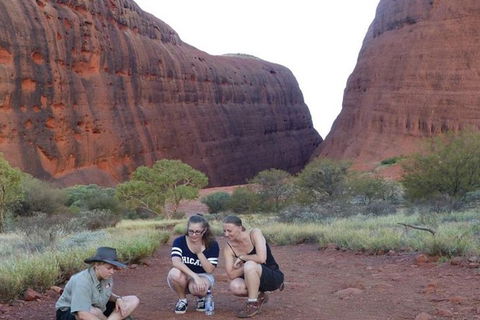 5-Hour Kata Tjuta Sunrise Tour From Ayers Rock With Breakfast - VIC Tourism 3