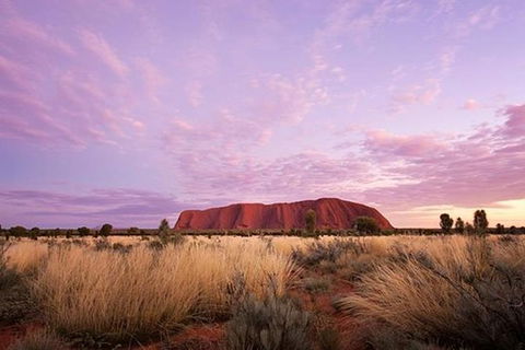 Sunset Australian Barbecue Dinner In Uluru - VIC Tourism 0