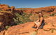 4 Day/3 Night Perentie Dreaming Safari - thumb 4
