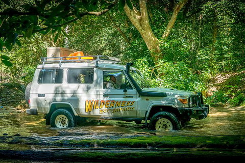 Full Day Rainforest 4WD Tour From Cairns - VIC Tourism 0
