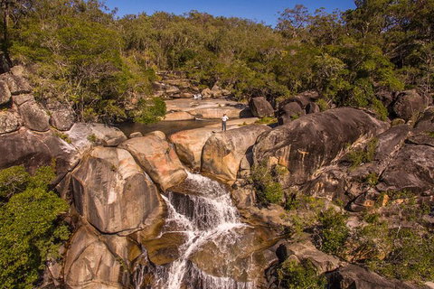 Full Day Rainforest 4WD Tour From Cairns - VIC Tourism 1