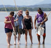 Aboriginal Cultural Daintree Rainforest Tour from Cairns or Port Douglas - VIC Tourism