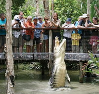 Hartley's Crocodile Adventure Half-Day Tour - VIC Tourism