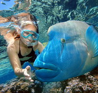 Cairns 2-Day Combo Great Barrier Reef Cruise and Kuranda - VIC Tourism