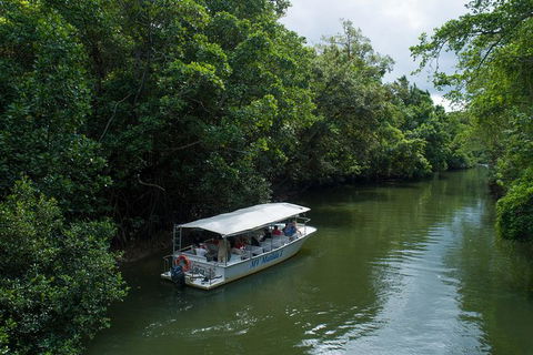 Daintree Rainforest, Cape Tribulation And Bloomfield Track Small Group Tour - VIC Tourism 5