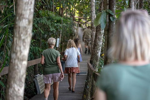 Daintree Rainforest, Cape Tribulation And Bloomfield Track Small Group Tour - VIC Tourism 15
