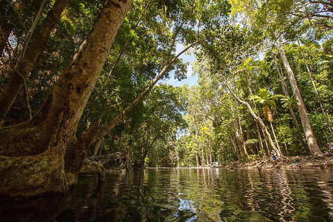 Daintree Rainforest, Cape Tribulation And Bloomfield Track Small Group Tour - VIC Tourism 7