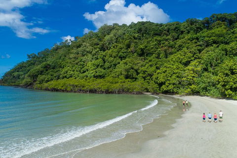 Daintree Rainforest, Cape Tribulation And Bloomfield Track Small Group Tour - VIC Tourism 2